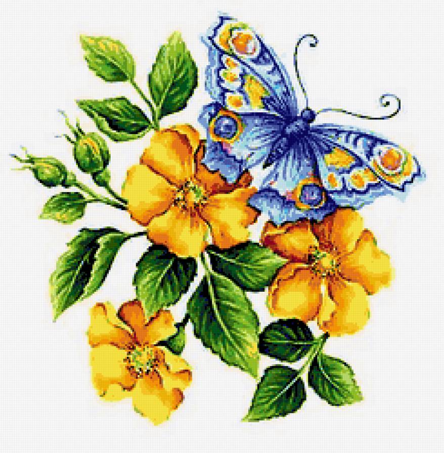 Variant 5 - предпросмотр