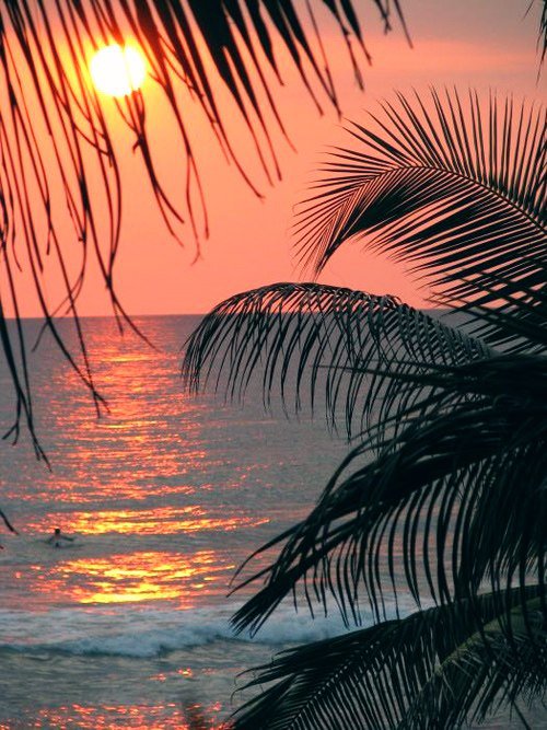 Закат - закат, пальмы, море - оригинал