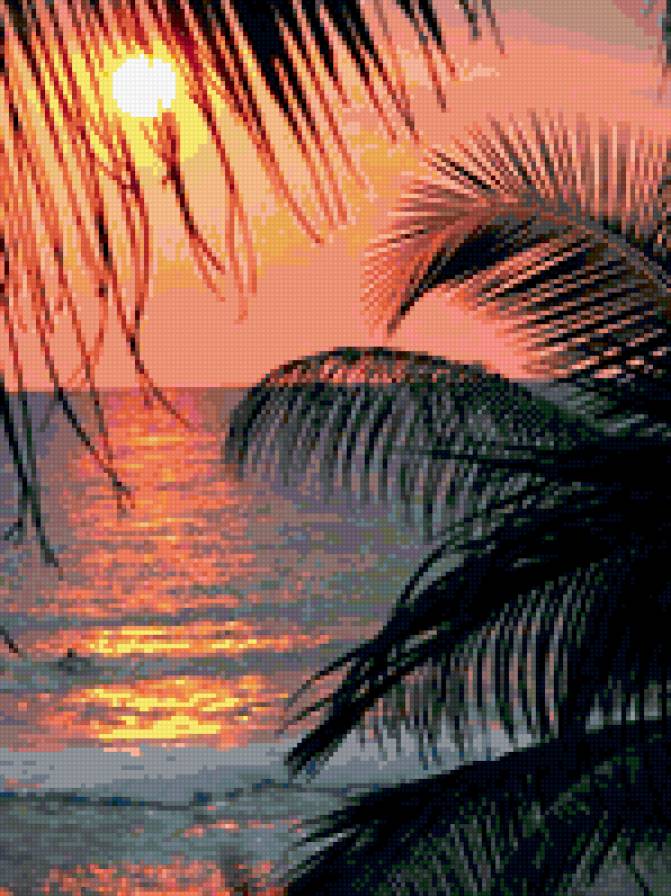 Закат - закат, море, пальмы - предпросмотр