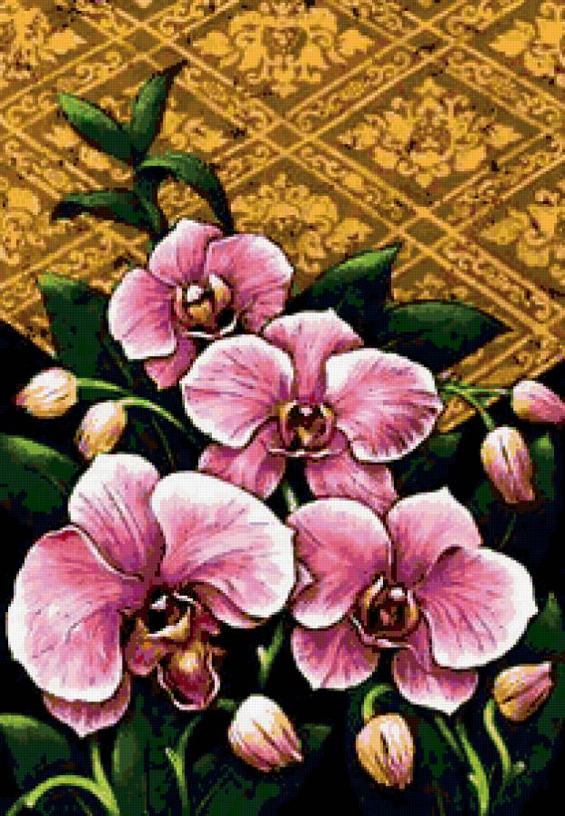 ОРХИДЕЯ - цветы - предпросмотр