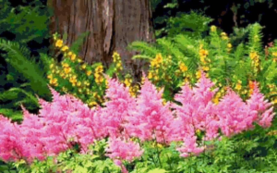 №249795 - цветы, лес, природа, пейзаж - предпросмотр