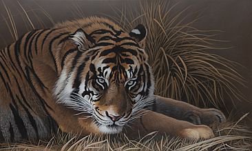 №250192 - оригинал