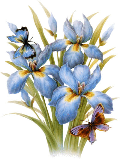 №250251 - оригинал