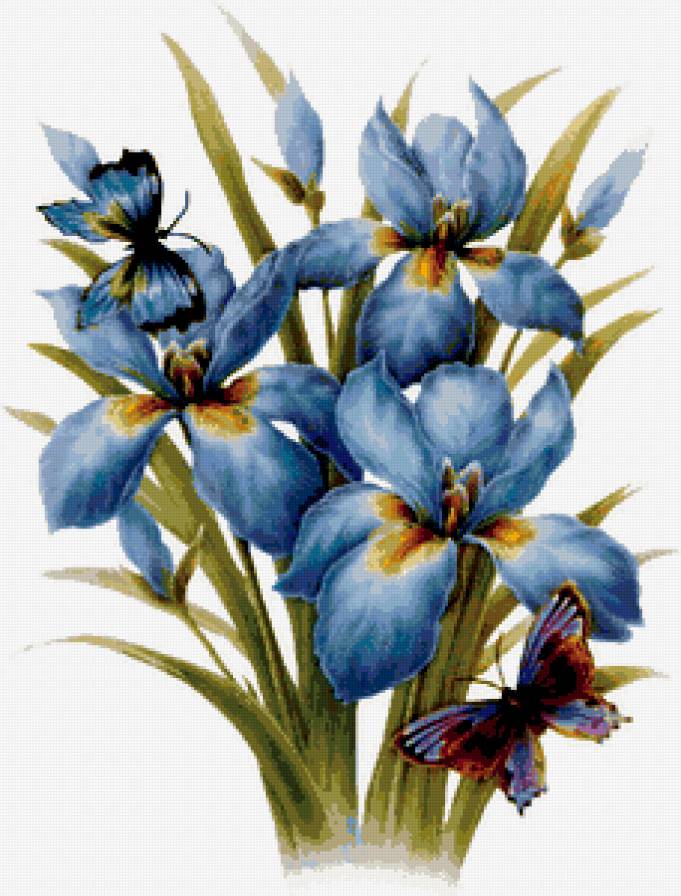 №250251 - предпросмотр