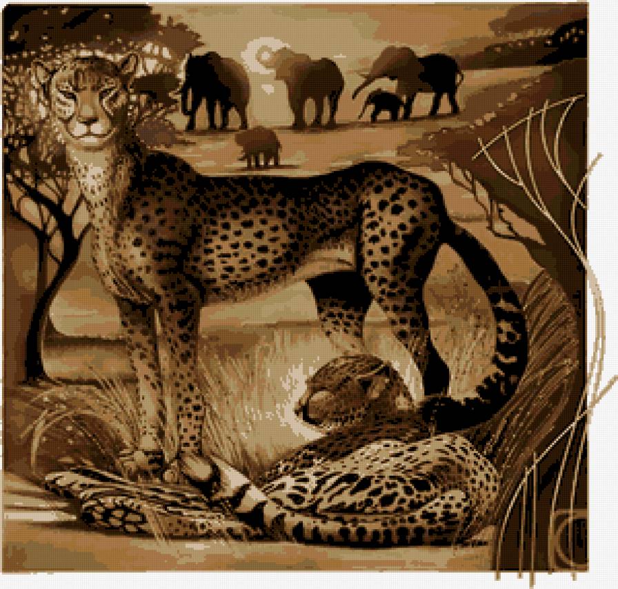 На тему Африки - африка - предпросмотр