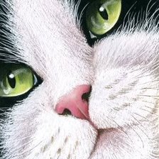 Схема вышивки «№250331»