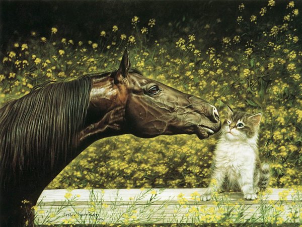 №250397 - лошадь, котенок, животные, картина - оригинал