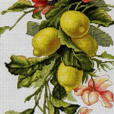 Оригинал схемы вышивки «Композиция с лимонами» (№250411)