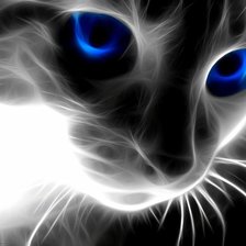 Схема вышивки «кот с голубыми глазами»