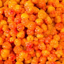 Схема вышивки «Морошка»