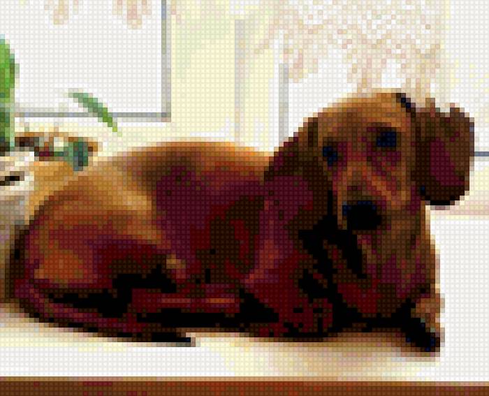 на окне - предпросмотр