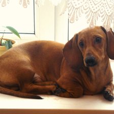 Схема вышивки «на окне»