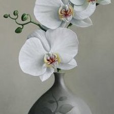 Схема вышивки «№250782»