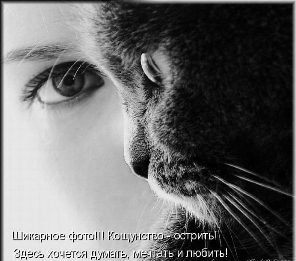 дружба - оригинал