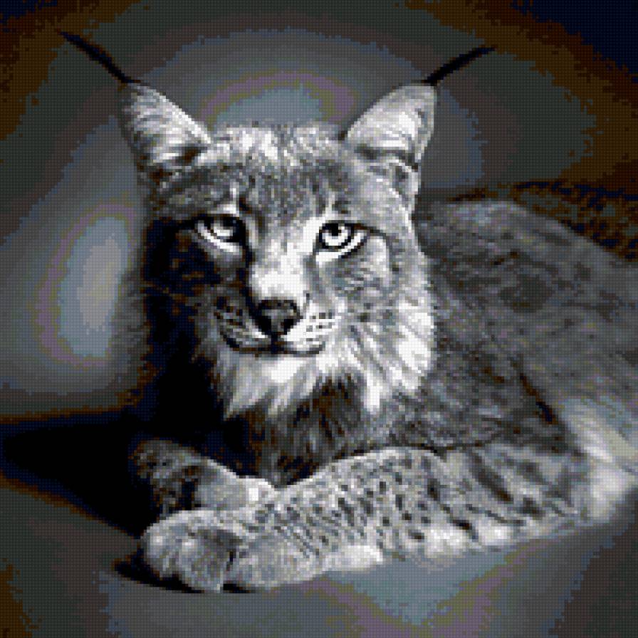 рысь - предпросмотр