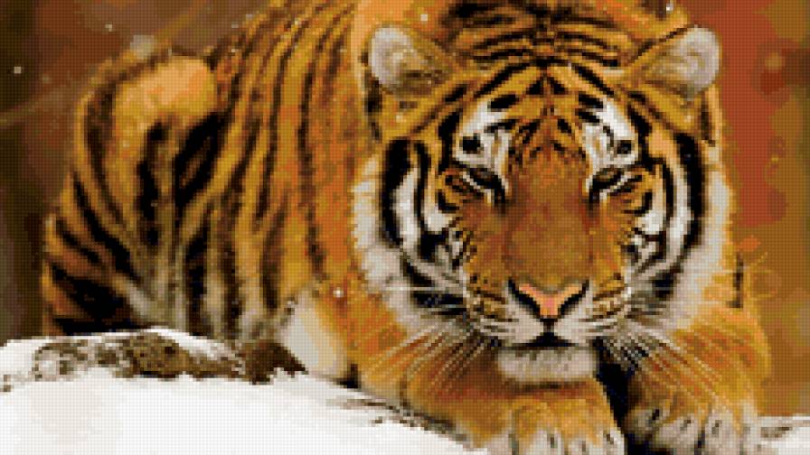 КРАСАВЧИК - предпросмотр