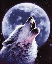 Схема вышивки «волк»