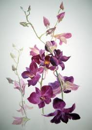 №251094 - орхидеи, букет, цветы - оригинал