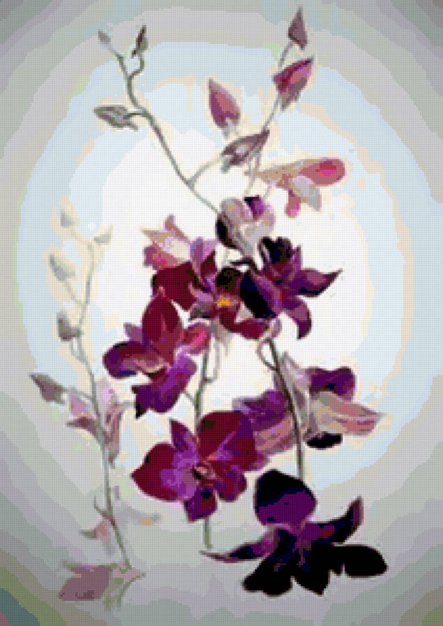 №251094 - букет, цветы, орхидеи - предпросмотр