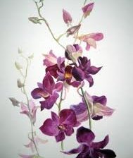 Схема вышивки «№251094»