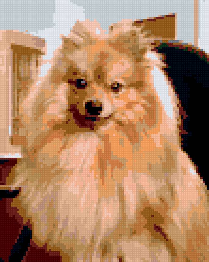 тот - предпросмотр