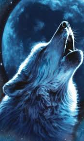 №251182 - животные, волк - оригинал