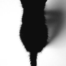 Схема вышивки «Черный котенок»