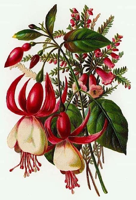 №251362 - оригинал