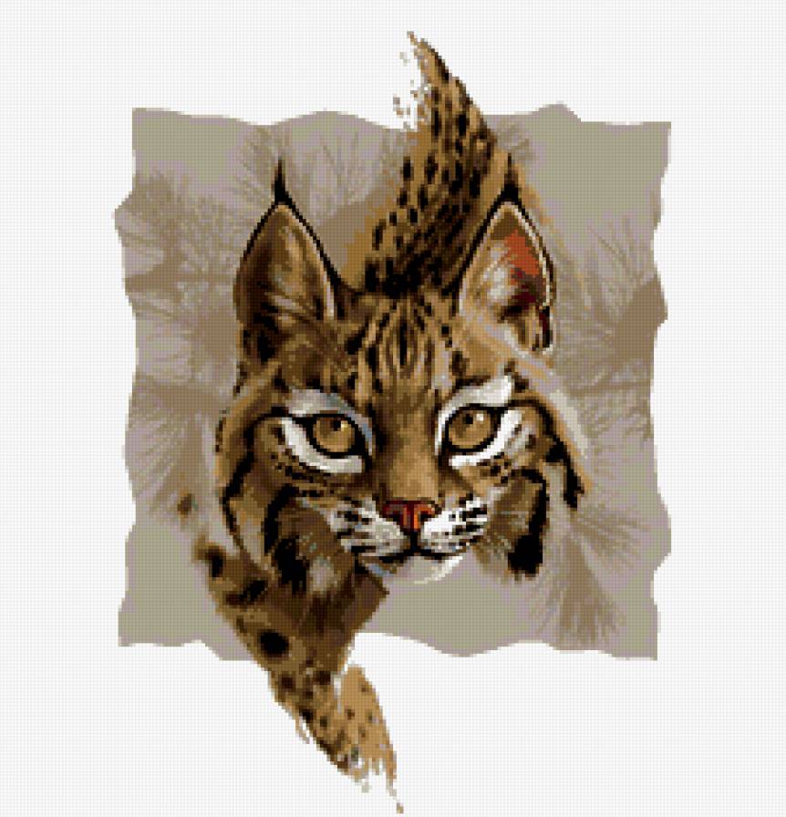 рысь - кошки, животные, хищники - предпросмотр