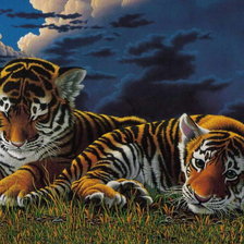 Оригинал схемы вышивки «семья тигров» (№251401)