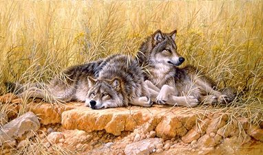 №251476 - оригинал