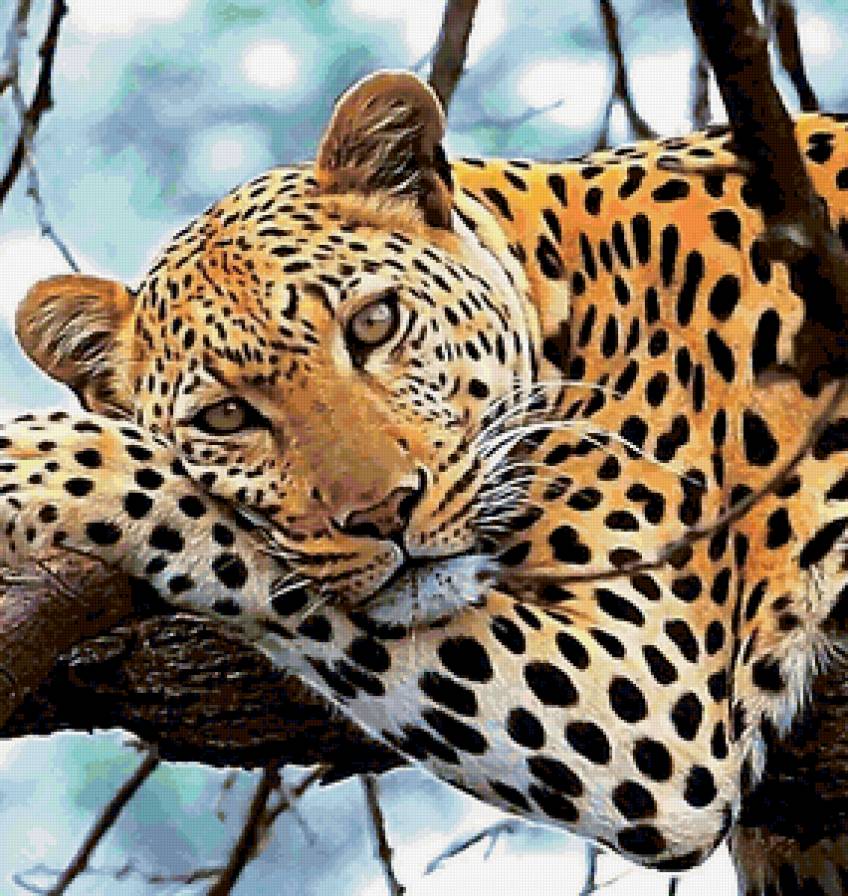 Variant 2 - предпросмотр