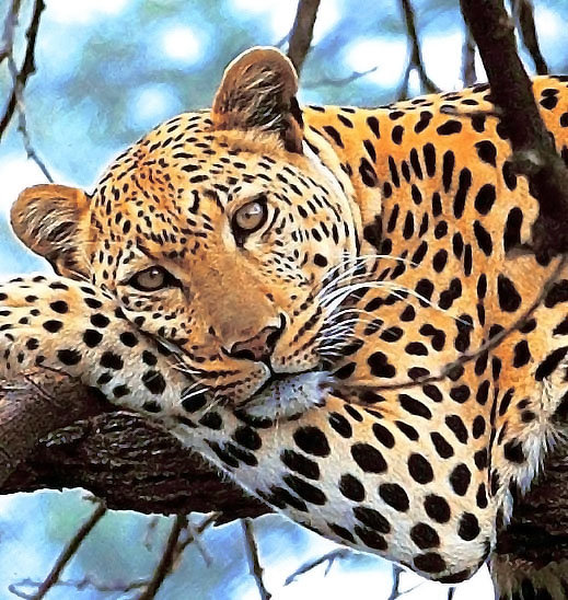 Variant 3 - оригинал