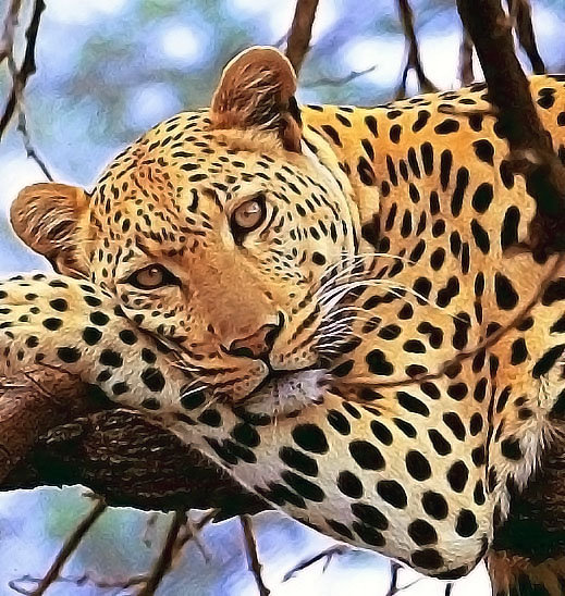 Variant 7 - оригинал