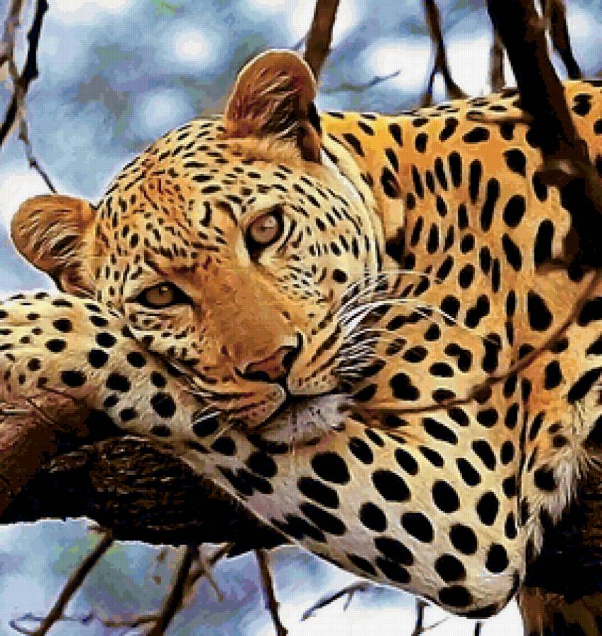 Variant 7 - предпросмотр