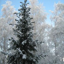 Схема вышивки «зима»