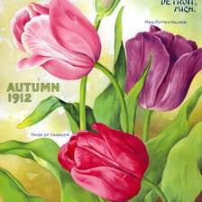 Оригинал схемы вышивки «Тюльпаны» (№251569)