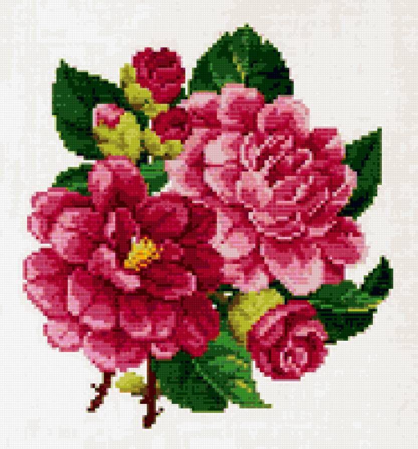 №251655 - предпросмотр