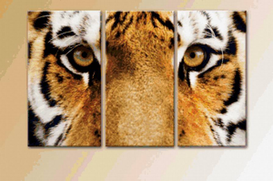 Триптих - тигр, кот, триптих, животные, котик, кися - предпросмотр