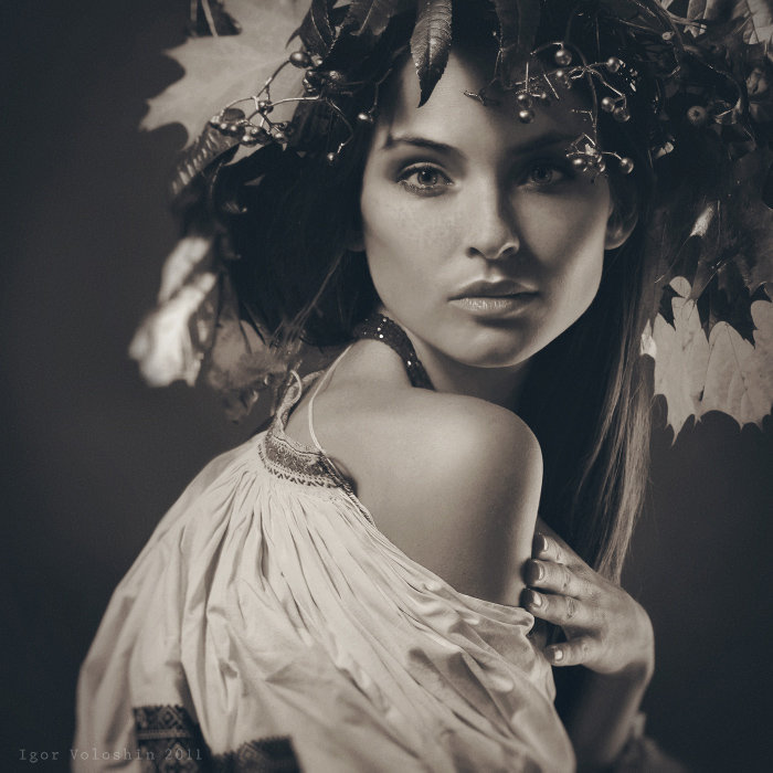 №251713 - оригинал