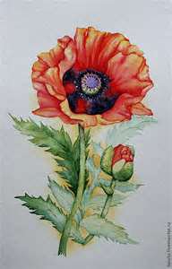 мак - цветы - оригинал