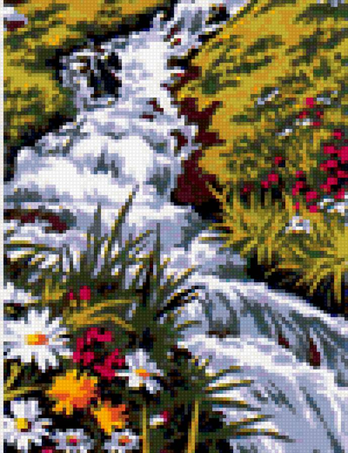 №251725 - предпросмотр