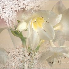 Схема вышивки «№251760»