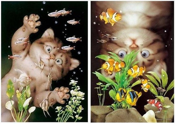 котята - аквариум, рыбки, котята. - оригинал