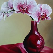 Схема вышивки «№251803»