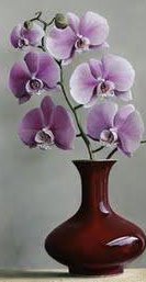 №251812 - оригинал