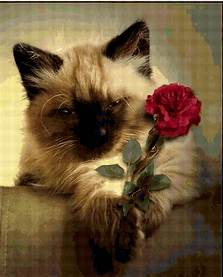 №252070 - предпросмотр