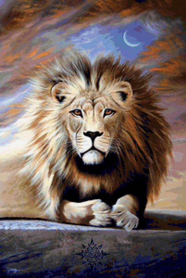 Wisdom - предпросмотр