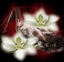 Схема вышивки «№252254»