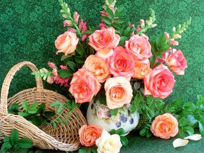 букет - цветы, розы, букет - оригинал
